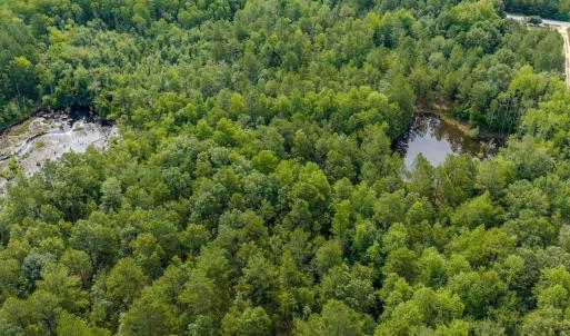 Photo #8 of Off of US Hwy 1, Patrick, SC 17.1 acres