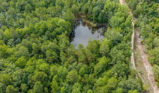 Photo #9 of Off of US Hwy 1, Patrick, SC 17.1 acres