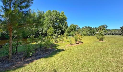 Photo #61 of 211 Arbor Drive, Columbia, NC 6.2 acres