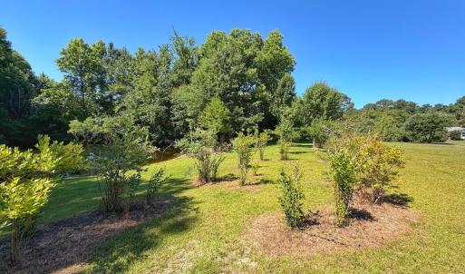 Photo #63 of 211 Arbor Drive, Columbia, NC 6.2 acres