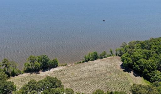 Photo #10 of 500 Indian Trail Road, Edenton, NC 964.4 acres