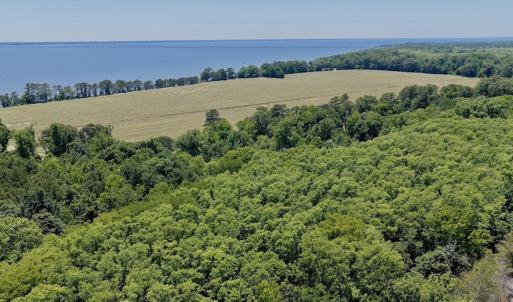 Photo #12 of 500 Indian Trail Road, Edenton, NC 964.4 acres