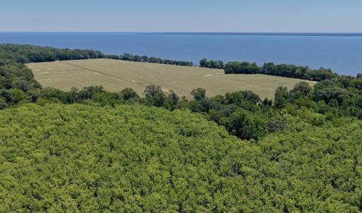 Photo #13 of 500 Indian Trail Road, Edenton, NC 964.4 acres