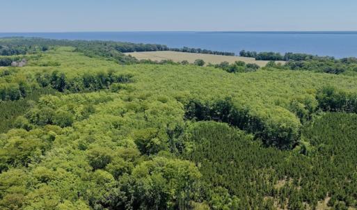 Photo #14 of 500 Indian Trail Road, Edenton, NC 964.4 acres