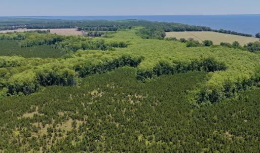 Photo #17 of 500 Indian Trail Road, Edenton, NC 964.4 acres