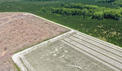 Photo #20 of 500 Indian Trail Road, Edenton, NC 964.4 acres