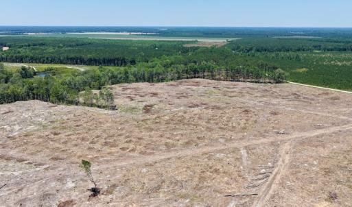 Photo #21 of 500 Indian Trail Road, Edenton, NC 964.4 acres