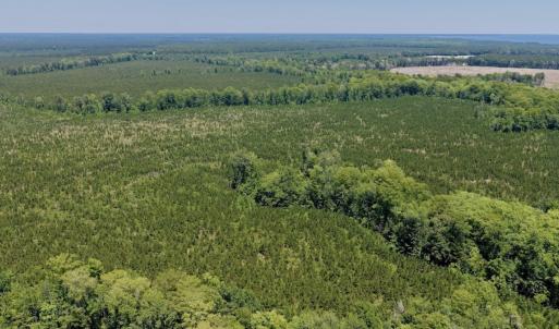 Photo #24 of 500 Indian Trail Road, Edenton, NC 964.4 acres