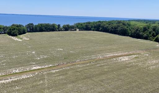 Photo #25 of 500 Indian Trail Road, Edenton, NC 964.4 acres