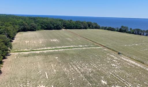 Photo #27 of 500 Indian Trail Road, Edenton, NC 964.4 acres