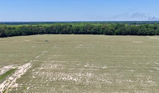 Photo #29 of 500 Indian Trail Road, Edenton, NC 964.4 acres