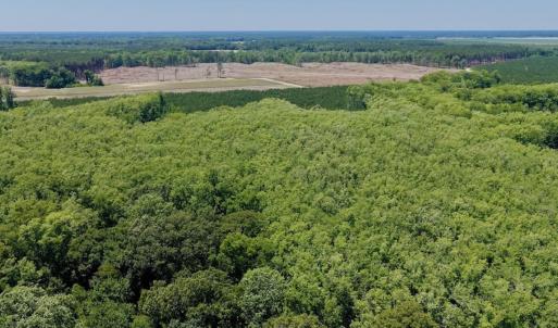 Photo #31 of 500 Indian Trail Road, Edenton, NC 964.4 acres
