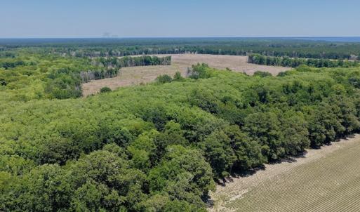 Photo #32 of 500 Indian Trail Road, Edenton, NC 964.4 acres