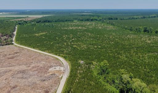 Photo #35 of 500 Indian Trail Road, Edenton, NC 964.4 acres