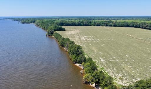 Photo #6 of 500 Indian Trail Road, Edenton, NC 964.4 acres