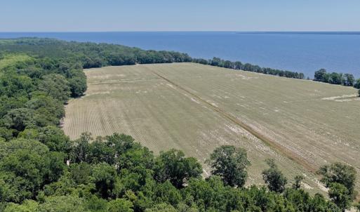 Photo #8 of 500 Indian Trail Road, Edenton, NC 964.4 acres
