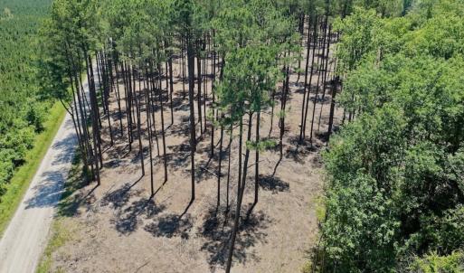 Photo #44 of 500 Indian Trail Road, Edenton, NC 964.4 acres