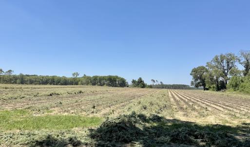 Photo #47 of 500 Indian Trail Road, Edenton, NC 964.4 acres