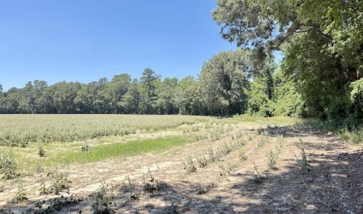 Photo #50 of 500 Indian Trail Road, Edenton, NC 964.4 acres
