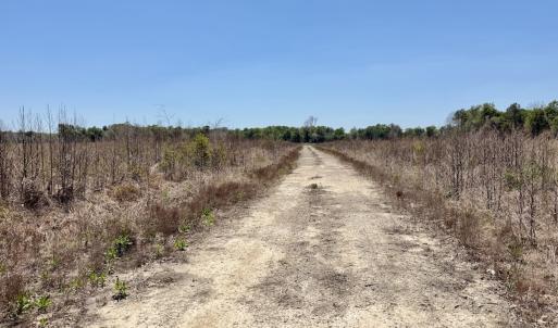 Photo #57 of 500 Indian Trail Road, Edenton, NC 964.4 acres