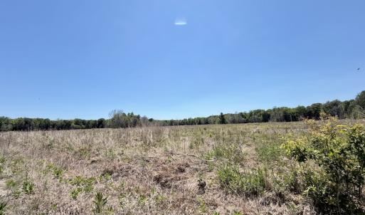 Photo #58 of 500 Indian Trail Road, Edenton, NC 964.4 acres