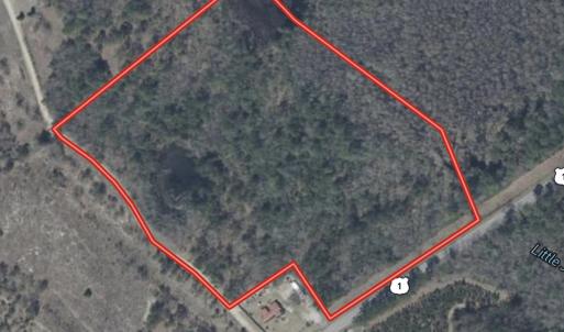 Photo #33 of Off of US Hwy 1, Patrick, SC 17.1 acres