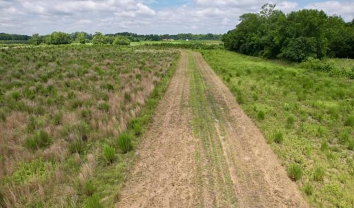 Photo #17 of Off of Powell Road, Green Sea, SC 69.0 acres
