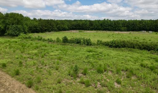 Photo #20 of Off of Powell Road, Green Sea, SC 69.0 acres