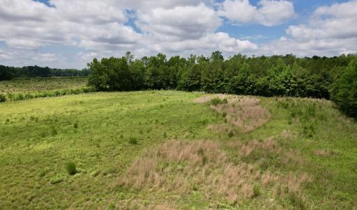 Photo #29 of Off of Powell Road, Green Sea, SC 69.0 acres