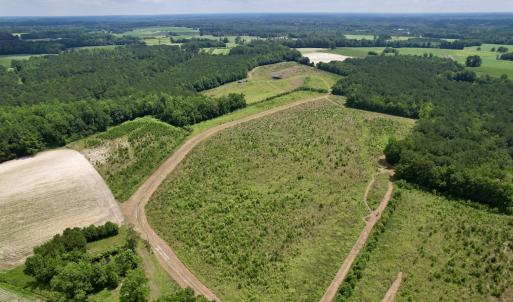 Photo #3 of Off of Powell Road, Green Sea, SC 69.0 acres
