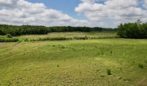 Photo #30 of Off of Powell Road, Green Sea, SC 69.0 acres