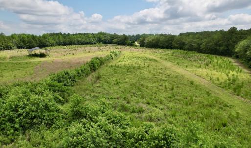 Photo #31 of Off of Powell Road, Green Sea, SC 69.0 acres