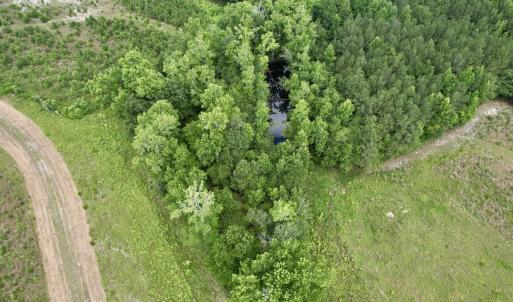 Photo #40 of Off of Powell Road, Green Sea, SC 69.0 acres
