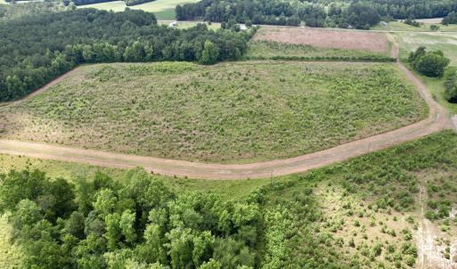Photo #43 of Off of Powell Road, Green Sea, SC 69.0 acres
