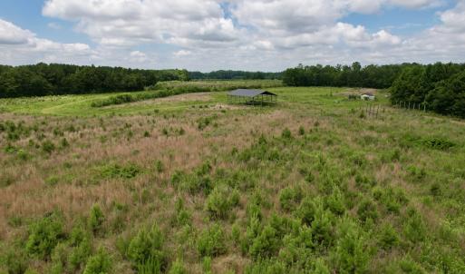 Photo #47 of Off of Powell Road, Green Sea, SC 69.0 acres