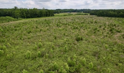 Photo #49 of Off of Powell Road, Green Sea, SC 69.0 acres
