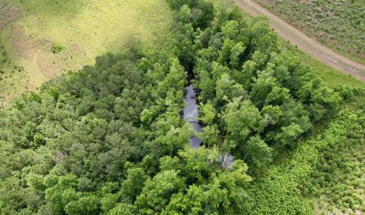 Photo #51 of Off of Powell Road, Green Sea, SC 69.0 acres
