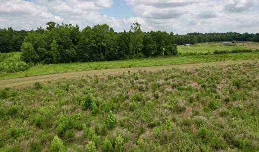 Photo #53 of Off of Powell Road, Green Sea, SC 69.0 acres