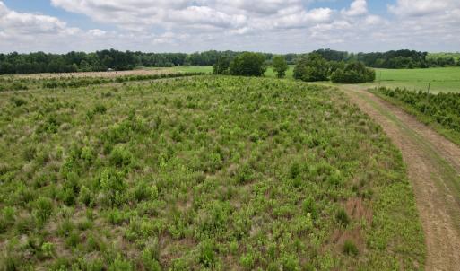 Photo #55 of Off of Powell Road, Green Sea, SC 69.0 acres