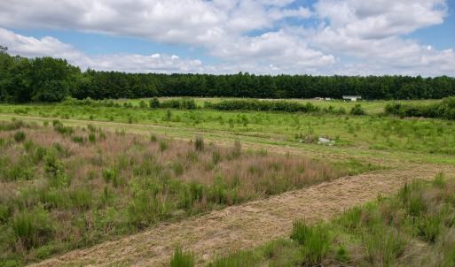 Photo #57 of Off of Powell Road, Green Sea, SC 69.0 acres