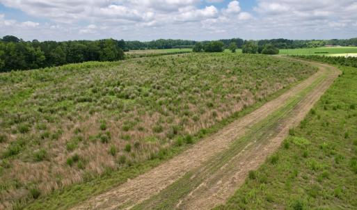 Photo #58 of Off of Powell Road, Green Sea, SC 69.0 acres