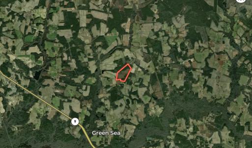 Photo #71 of Off of Powell Road, Green Sea, SC 69.0 acres