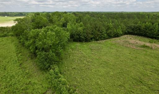 Photo #61 of Off of Powell Road, Green Sea, SC 69.0 acres