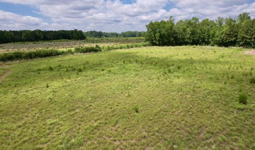 Photo #67 of Off of Powell Road, Green Sea, SC 69.0 acres
