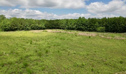 Photo #69 of Off of Powell Road, Green Sea, SC 69.0 acres