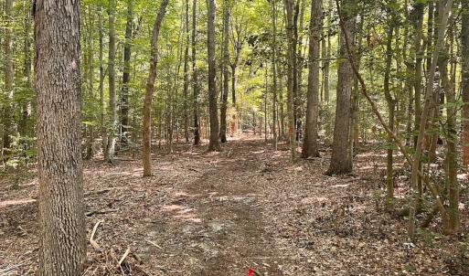 Photo #12 of Off of Hills Dr, Dewitt, VA 27.0 acres