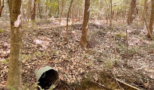 Photo #13 of Off of Hills Dr, Dewitt, VA 27.0 acres
