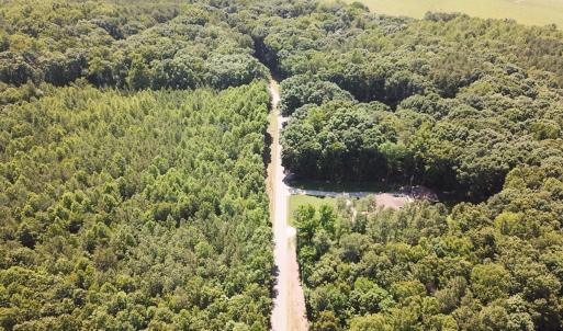 Photo #14 of Off of Hills Dr, Dewitt, VA 27.0 acres