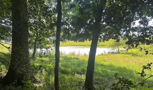 Photo #16 of Off of Hills Dr, Dewitt, VA 27.0 acres