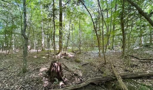 Photo #19 of Off of Hills Dr, Dewitt, VA 27.0 acres